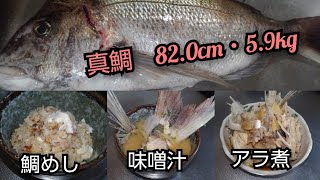 【魚料理】マダイ(鯛めし・味噌汁・アラ煮)