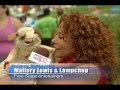 Mallory Lewis & Lamb Chop Sizzle Reel