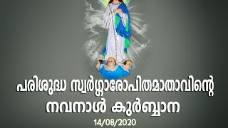 വിശുദ്ധ കുർബാന  //Holy Mass/Malayalam/Syro malabar /St Mary's Church,  Thumbarassery