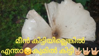 #jafarjaffuvlogs#going fishhunting കിട്ടിയദ് കുമിൽ (mushroom🥰🥰🥰)