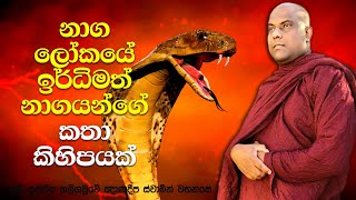 රුවන්වැලි මහා සෑයේ තැන්පත් ධාතු කරඬුව ගිලපු වාසුල දත්ත නාග රාජයා | Galigamuwe Gnanadeepa Thero