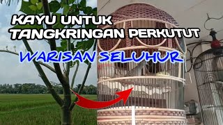 Kayu Tangkringan yang disukai Perkutut menurut leluhur