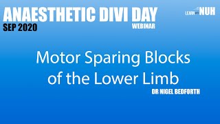 Motor sparing blocks of the lower limb