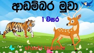 # ආඩම්බර මුවා# 1 වසර # ළමා කතන්දර # Lama Kathandara #