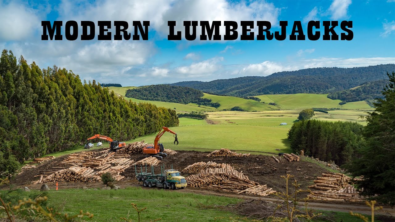 Modern Lumberjacks - YouTube