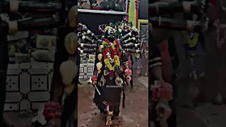 குலசை தசரா கருங்காளி ஆட்டம்🔥💯😍||Kulasai Dasara Kali Attam🔥#kulasaidasara#kulasaiarasi#kulasai#shorts