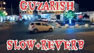 GUZARISH || Arijit Singh 🎧🎤 Slow Reverb #lofi #slowedandreverb #romenticsong #arijitsingh