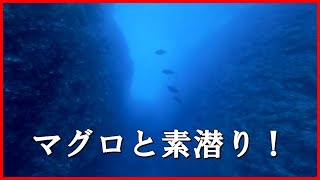 巽島マグロ穴　小笠原諸島　父島　素潜りの学校　Bプラン　Gopro6 4k