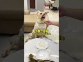 肉肉说了算🐶：天冷了，我把家里的被子都拿来做狗窝了