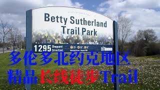 Toronto Betty Sutherland Trail Experience多伦多北约克的经典徒步公园【老盛在多村2020 05 17】