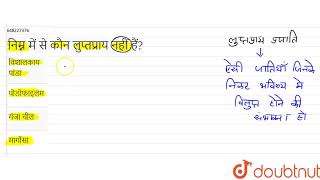 निम्न में से कौन लुप्तप्राय नहीं हैं? | 12 | इन्टरमीडिएट उत्प्रेषण परीक्षा-2021 (जीव विज्ञान (ऐच...