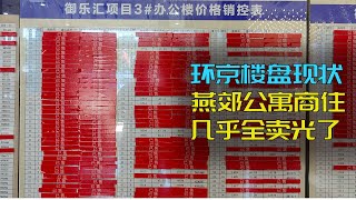 环京燕郊:地铁要来,限购令未解除,商住房格外火爆,几天好户型都抢没了,房价腰斩有人抢滩价格洼地(小叔TV EP143)