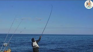 【北海道投げ釣り】オホーツク海の地磯から狙う秋の乗っ込み魚 #遠投 #fishing