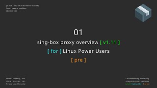 01 sing-box proxy overview - prerequisite
