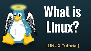 What is Linux? Linux Beginner Tutorial