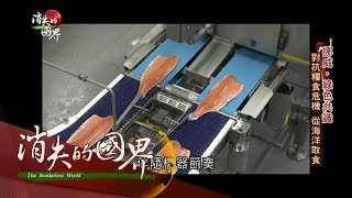 【消失的國界| 綠色共識特輯part2】每天產出4千萬份 從海洋取食! 挪威鮭魚產量佔全球六成 ｜李天怡主持｜三立新聞台