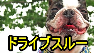 【爆笑】ドライブスルー【笑える】