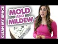 4 Things You Should Know about Mold & Mildew! (Clean My Space) 4 Things You Should Know about Mold & Mildew! (Clean My Space)