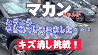 【悲報】とうとう、この日が来てしまいました･･･涙　愛しきマカンがキズモノに。