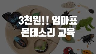 3천원!! 엄마표 몬테소리 교육