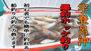 【北海道釣り】驚愕‼️3時間でホッケが大変な事に‼️