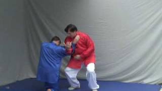 Tai Chi Self Defense Techniques