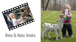 CUTE Baby & Baby Goats Video Funny Compilation | #pet #animal #goat #babygoats | Popkorn TV