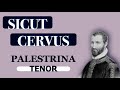 Tenor Dominant - Sicut Cervus (Palestrina)