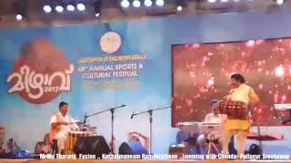 Kuzhalmannam Ramakrishnan's Mridu Tharang jamming session with Chenda Pallavur Sreekumar