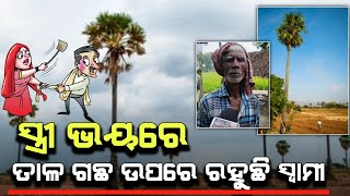 ସ୍ତ୍ରୀ ଭୟରେ ତାଳ ଗଛ ଉପରେ ରହୁଛି ସ୍ୱାମୀ... କାହିଁକି ଜାଣିଲେ ଆଶ୍ଚର୍ଯ୍ୟ ହେଇଯିବେ !!