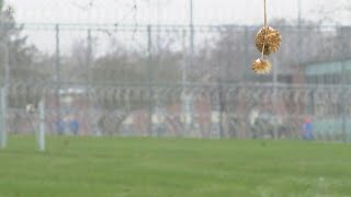 COVID-19 cases surge in Michigan prisons