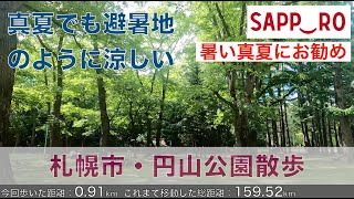 【納涼】札幌円山公園は歩くだけで涼しくなる・鮮やかな緑と北国の涼しい夏風がが真夏の散歩を引き立てます/Sapporo Maruyama park walk