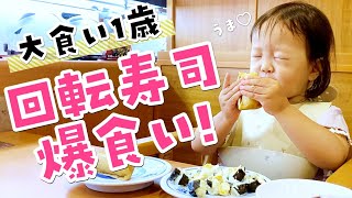 【大食い回転寿司】食欲旺盛な1歳娘、くら寿司で爽快爆食！子連れ外食/2歳差育児