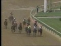 sunday silence 1989 kentucky derby