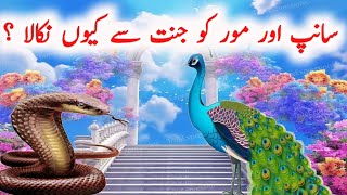 Sanp aur Mor ko Jannat se kyun Nikala Gaya | Why Snake and Peacock out of Jannat se Kyu makla gea