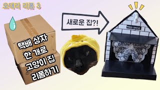 택배 상자로 고양이 집을 만든다구요?! [오대리리폼]