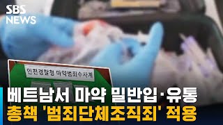 베트남서 마약 밀반입 · 유통…총책 '범죄단체조직죄' 적용 / SBS