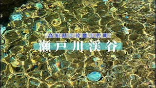 瀬戸川渓谷(アメガエリの滝、ぶらぶら橋方面)2022.10.28