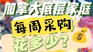 064 加拿大低收入家庭，每周采购花销！这生活成本…