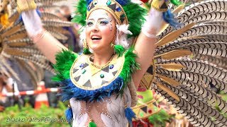 1/3　トロピカルなダンサーいっぱい☆彡ソウナッセンチ2019　神戸まつり　SAMBA CARNIVAL (サンバカーニバル)　KB/JAPAN