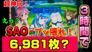 【SAO】リザルト6,981枚！３時間でブッ壊れたソードアート・オンライン