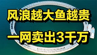 他在深海建造神秘大网养殖黄鱼，一斤能卖100元，一网鱼能卖3千万