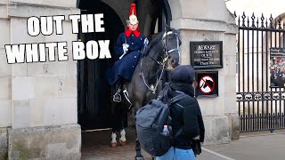 ‼️The King’s Guard Takes Action: Tourists Told to Get Out the White Box..!