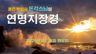 용인 백령사 돈각스님의 '연명지장경' - 2025년 1월 28일 화요일