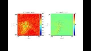 Potential temperature and vorticity in a spontaneous tropical cyclogenesis simulation