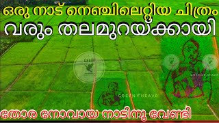 ഇത്ര ഹൃദയസ്പർശിയായ ഒരു വയൽ ചിത്രം ചിലപ്പോൾ ലോകത്ത് എവിടെയും ചെയ്തിട്ടുണ്ടാവാൻ സാധ്യതയില്ല paddy art