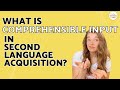 What is Comprehensible Input in Language Acquisition? What does CI look like in Spanish Class?