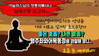 [#324] 어떤 것이 좋은 호흡인가? I 정확한 수행법은 해탈 기간을 앞당겨 준다 I 호흡이 보여준 놀라운 담마들 I 위빠사나실수행 I 아눌라스님의 담마토크