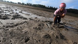 阿雄赶海露一手绝活，埋几十个瓶子在烂泥地，海鲜争相往里面钻