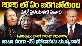 2025 లో ఎం జరగబోతుంది.? బాబా వంగా-నో స్ట్రోడామస్ భవిష్యవాణి What Happened 2025 | Mr Venkat Waves